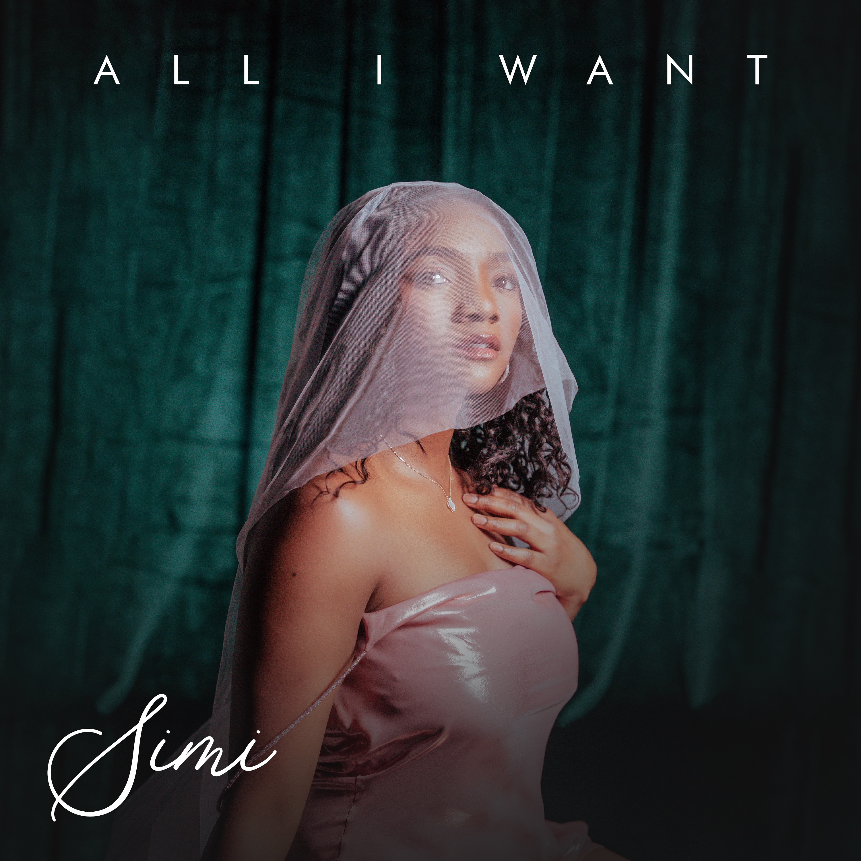 All I Want - Single