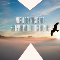 Music Box Music for Sleeping with Birds Sounds - Center of Relaxation