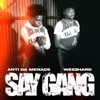 Say Gang - Single