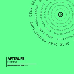 Afterlife - Single