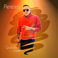 QUEDATE - Single - Pereira