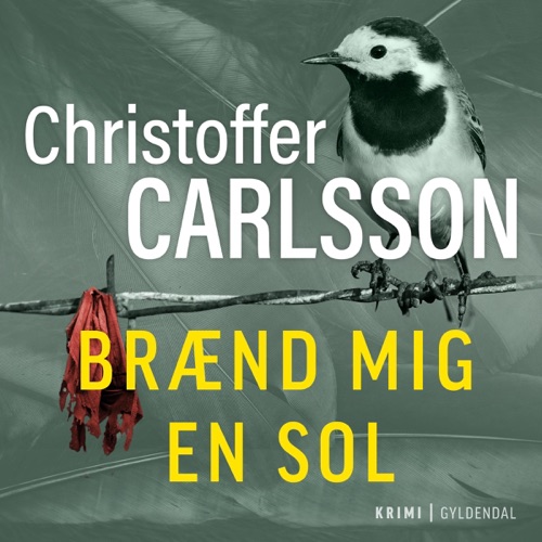 Brænd mig en sol cover