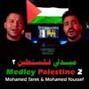 Medley Palestine 2 - Single