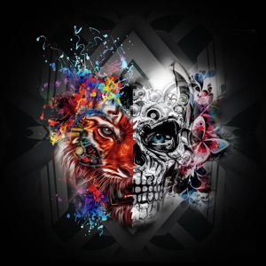 Sicko - Single