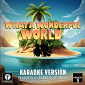 What a Wonderful World (Karaoke Version) artwork