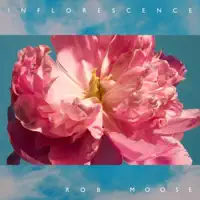 Wasted (feat. Phoebe Bridgers) — Rob Moose