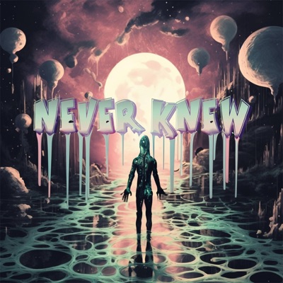 Never Knew (feat. Madison Arruda) - Single