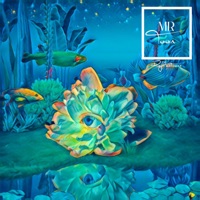 Reflections - Single - MRToon