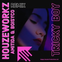 Tricky Boy (Remix) - Single - HOUZEWORKZ, Amitida & BOI SYCO