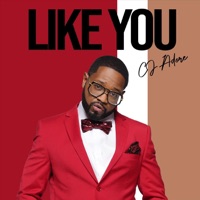 Like You - Single - CJ Adore