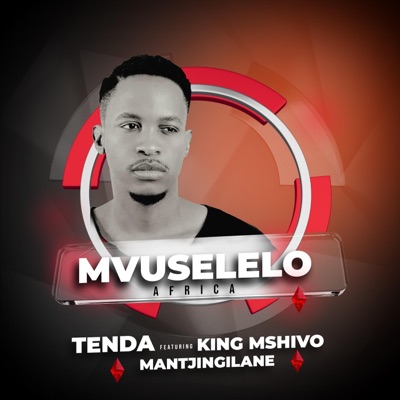 Mvuselelo, Vol. 1 (feat. King Mshivo & Mantjingilane) - Single