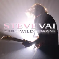 Paint Me Your Face — Steve Vai