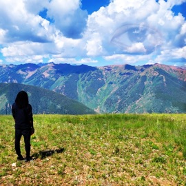 Redwood's Intro Trunino Lowe & REDWOOD