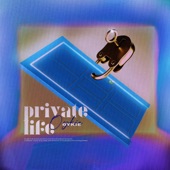 Private Life artwork