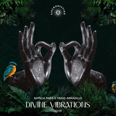 Divine Vibrations - Single