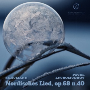 Album für die Jugend, Op. 68: No. 40, Nordisches Lied. Gruß an G (Arr. for String Orchestra by John Howard)