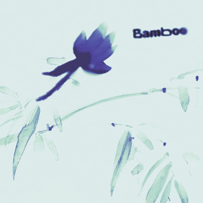 Bamboo - Single