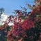 Oxygen in Nice - Juahn lyrics