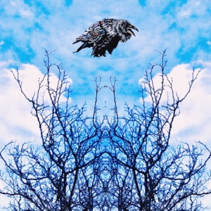 Raven Remix - Single