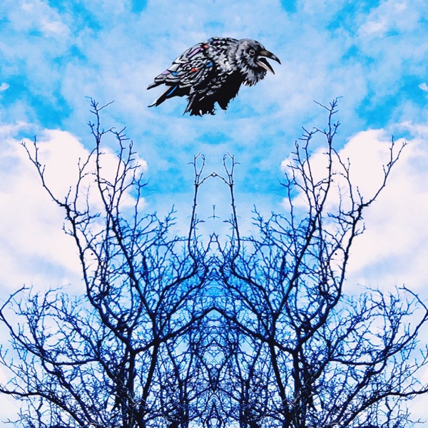 Raven Remix - Single