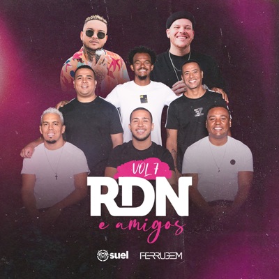 RDN & Amigos, Vol. 7 (feat. Suel & Ferrugem)