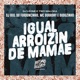 Igual Arroizin de Mamãe feat DJ Biel do Furduncinho Duduzinho Single