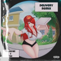Delivery (Remix) - Single - Cheese Wiz & Tao
