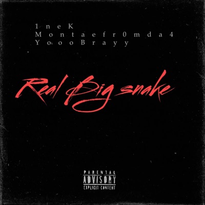Real Big Snake (feat. YoooBrayy & Montaefr0mda4) - Single