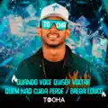 Quando Você Quiser Voltar / Quem Não Cuida Perde / Brega Louco