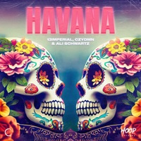 Havana - Single - 13imperial, CZYDMN & Ali Schwartz