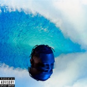 SURF OR DROWN artwork