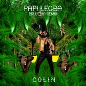 Papi Legba (Brujeria Radio Edit) artwork