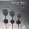 Pink Champagne (Satellite City Remix) - Venus Hum lyrics