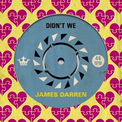 Didn't We - Single