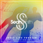 Feels Like Forever (Matt Pop Remix Radio Edit) artwork