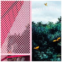 Colibri - Single - Aebleo & Dezl