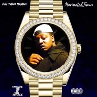 Marinated Timin - BiG YanK Maane