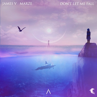 Don't Let Me Fall - Single
