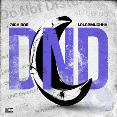 DND (feat. LaLa2Muchhh) - Single
