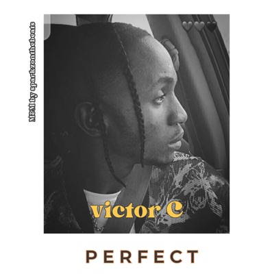 Perfect - Single