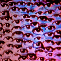 CHACINA (feat. ∆tarii) - Single - Berith