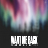 Want Me Back (feat. Karl Boëthius) artwork