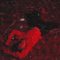 SOUL HOES - Single - Sergio Palau