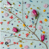 7th Dread / Love Me - Single - Nookie