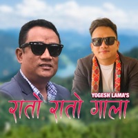 Rato Rato Gala - Single - Yogesh Lama