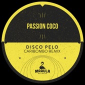 Disco Pelo (Caribombo Remix) artwork