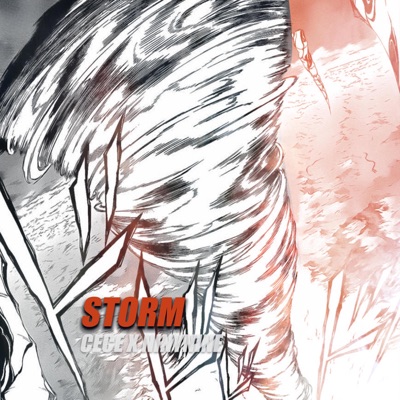 Storm - Single