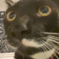 U-Haul. - Single - Xethos