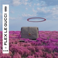FLEX LE GUCCI - Single - D.O.M