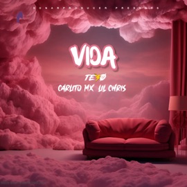 Vida (feat. Lil Chris & Carlito MX) TEXØ